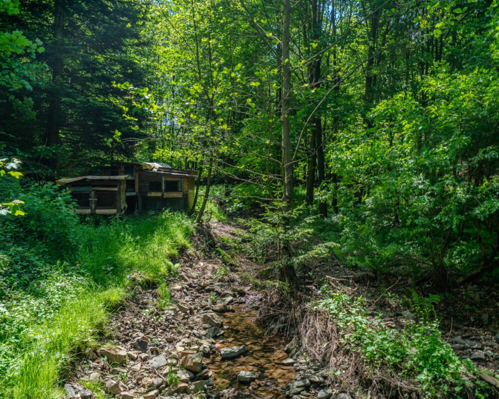_IMG1511-HDR