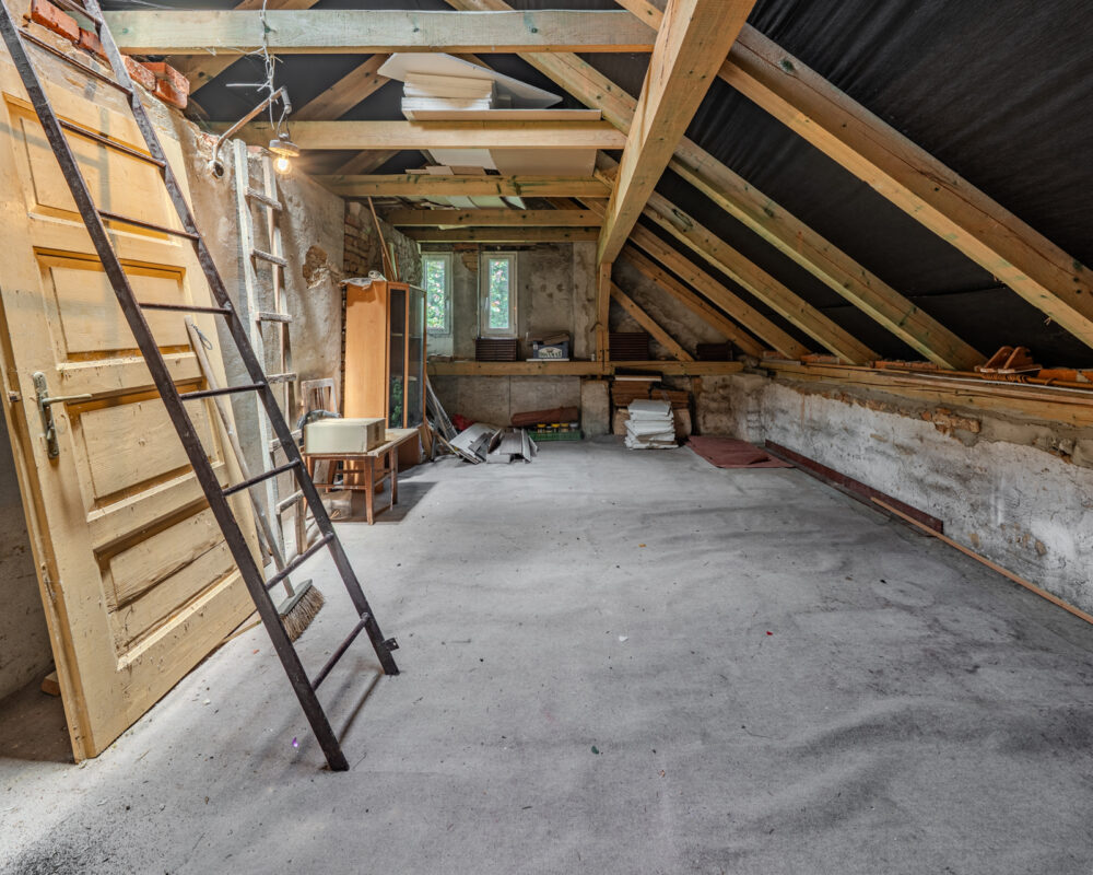 _IMG2224-HDR