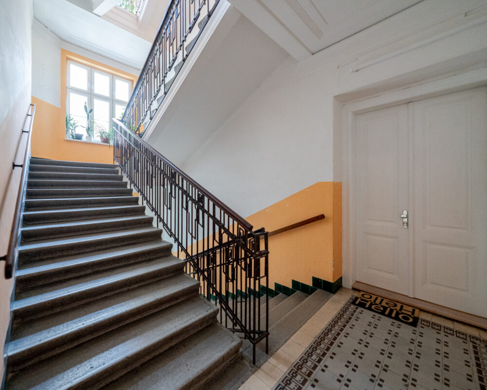 _IMG1847 _IMG1847